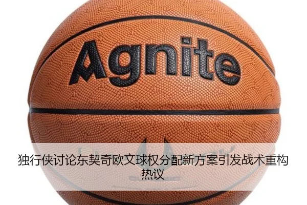 独行侠讨论东契奇欧文球权分配新方案引发战术重构热议