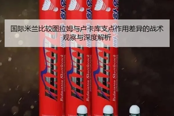 国际米兰比较图拉姆与卢卡库支点作用差异的战术观察与深度解析